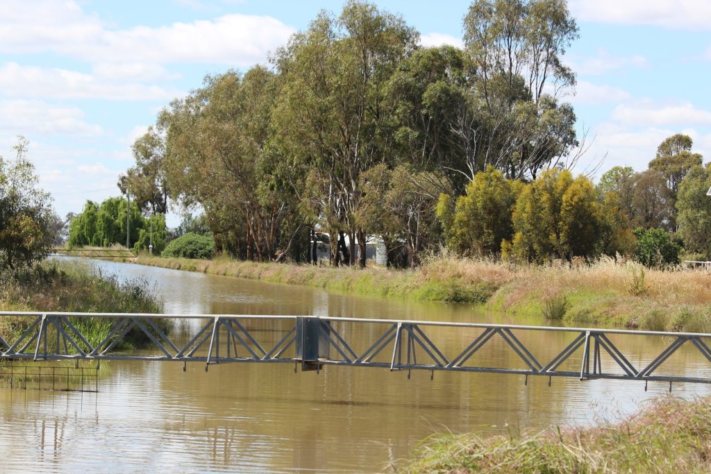 20 Walker Lane, Barham NSW 2732 - photo 8