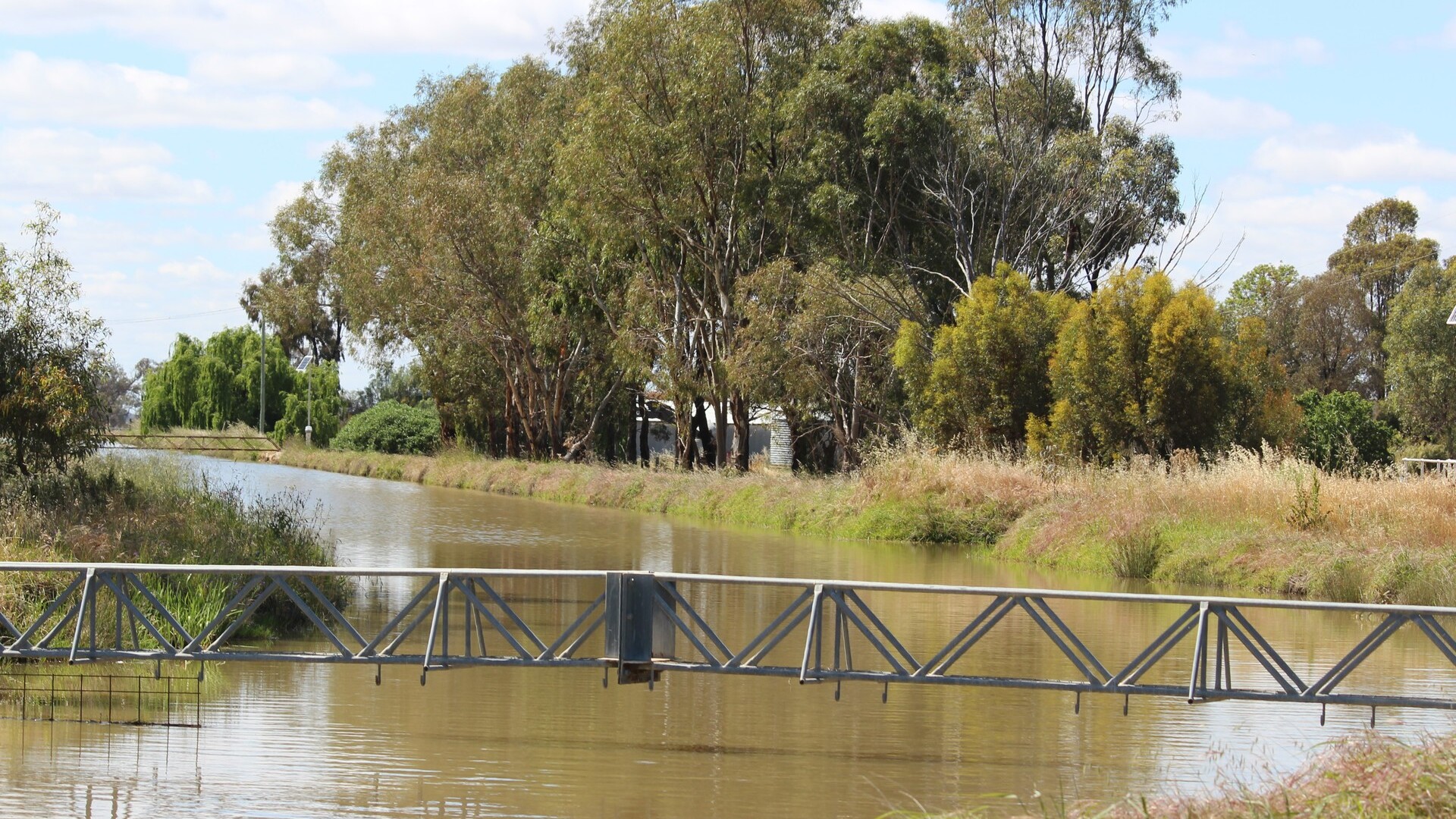 20 Walker Lane, Barham NSW 2732 - photo 8