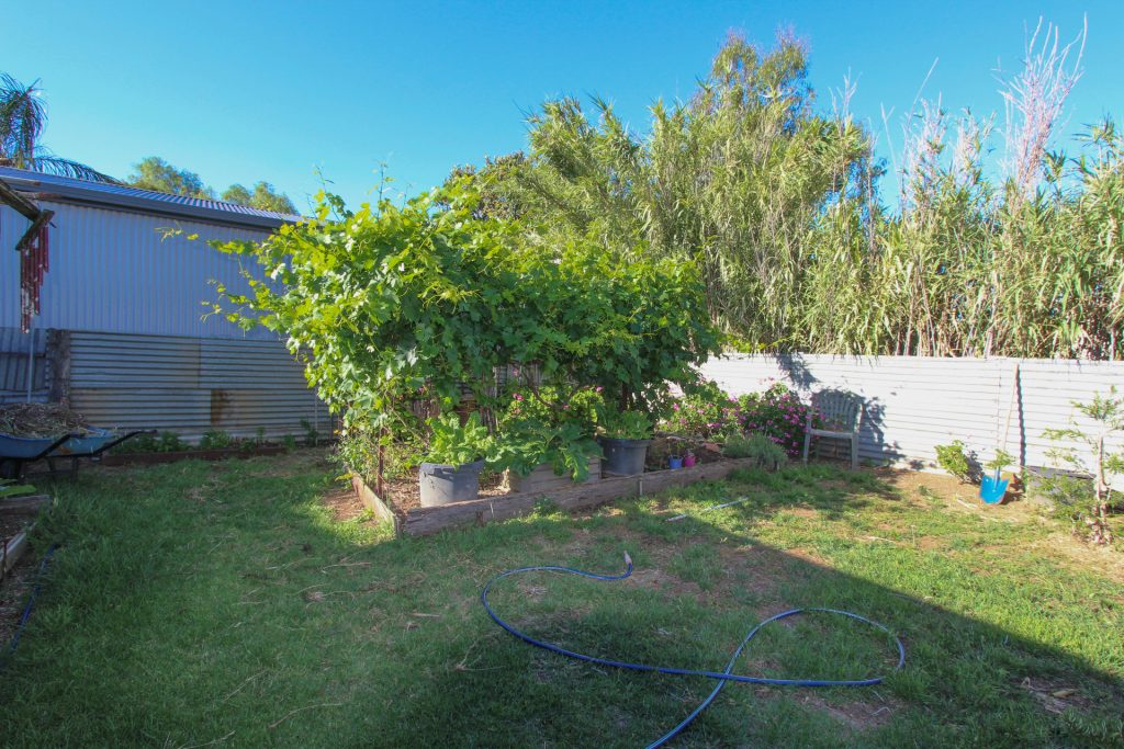 95 Hoskins Street, Temora NSW 2666 - photo 17