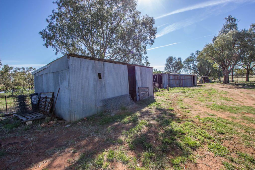 21 Pethers Road, Narrandera NSW 2700 - photo 15