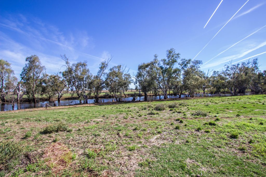 21 Pethers Road, Narrandera NSW 2700 - photo 16