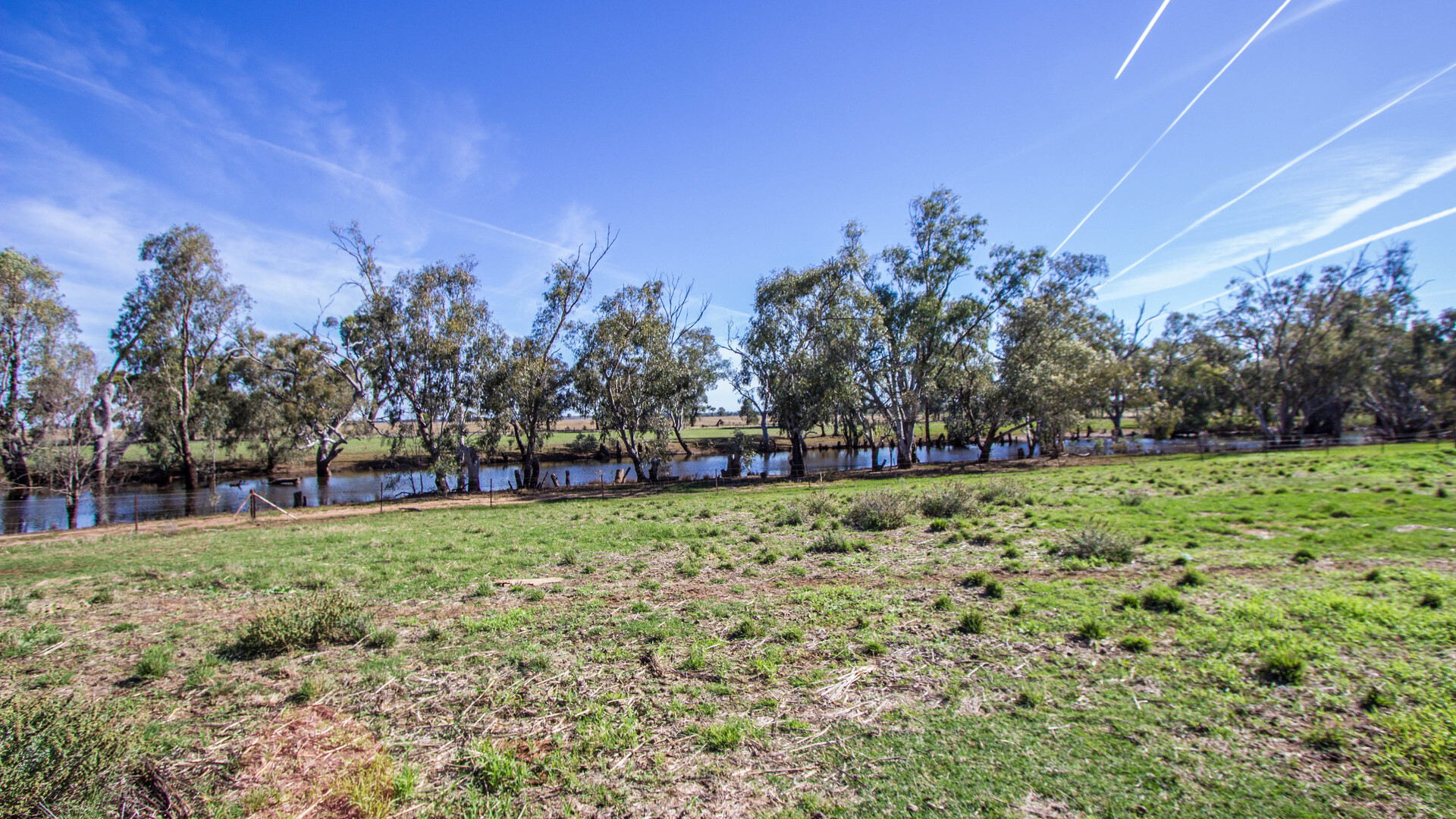 21 Pethers Road, Narrandera NSW 2700 - photo 16