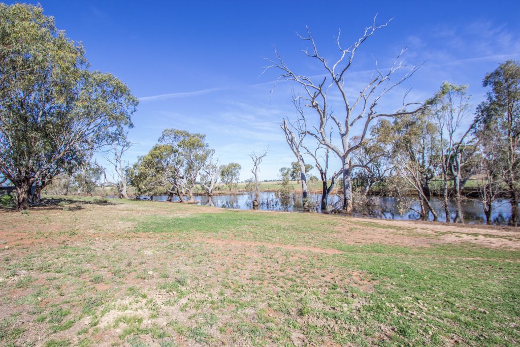 21 Pethers Road, Narrandera NSW 2700 - photo 17