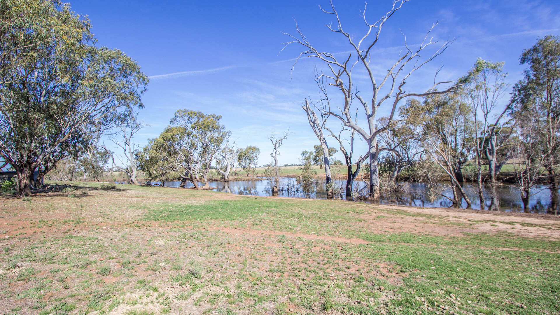 21 Pethers Road, Narrandera NSW 2700 - photo 17