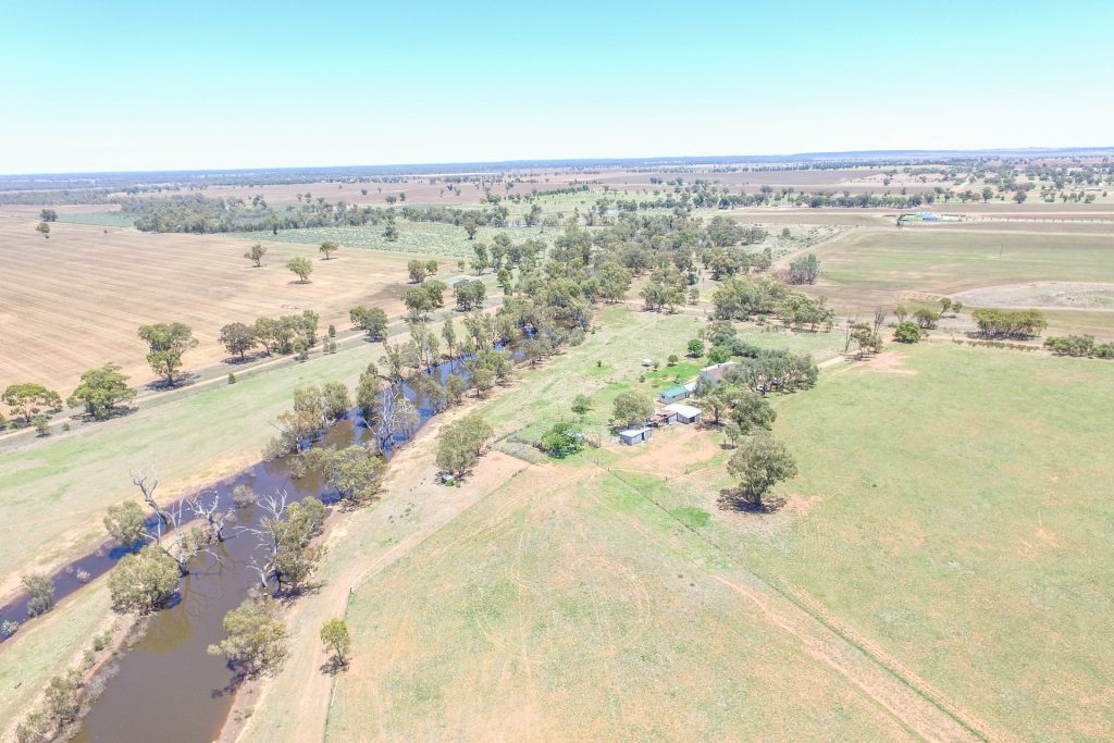 21 Pethers Road, Narrandera NSW 2700 - photo 4