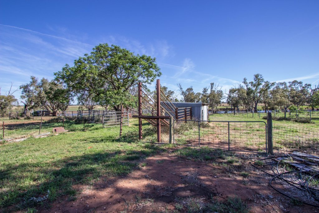 21 Pethers Road, Narrandera NSW 2700 - photo 7