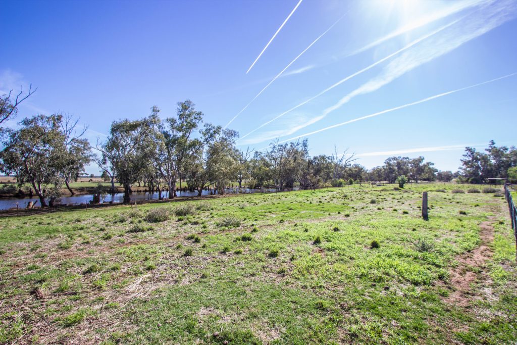 21 Pethers Road, Narrandera NSW 2700 - photo 8