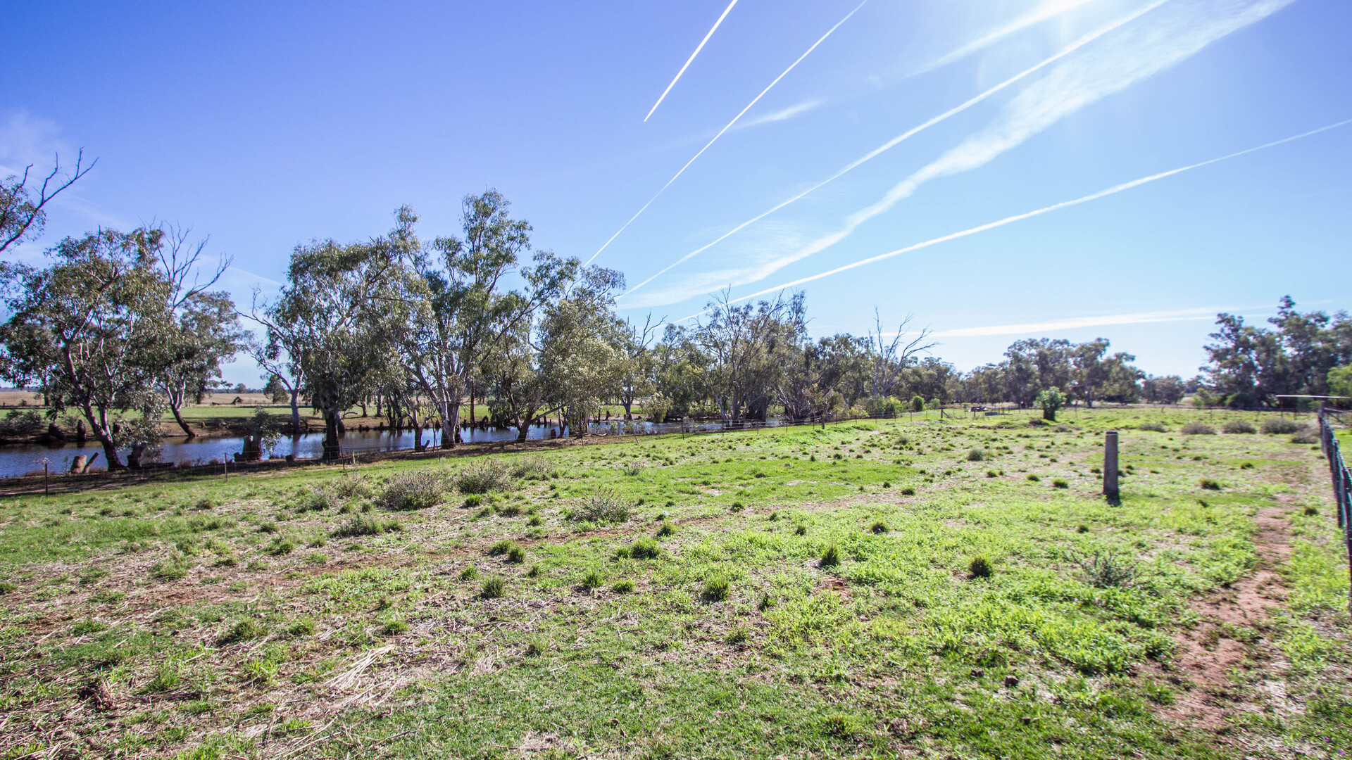 21 Pethers Road, Narrandera NSW 2700 - photo 8