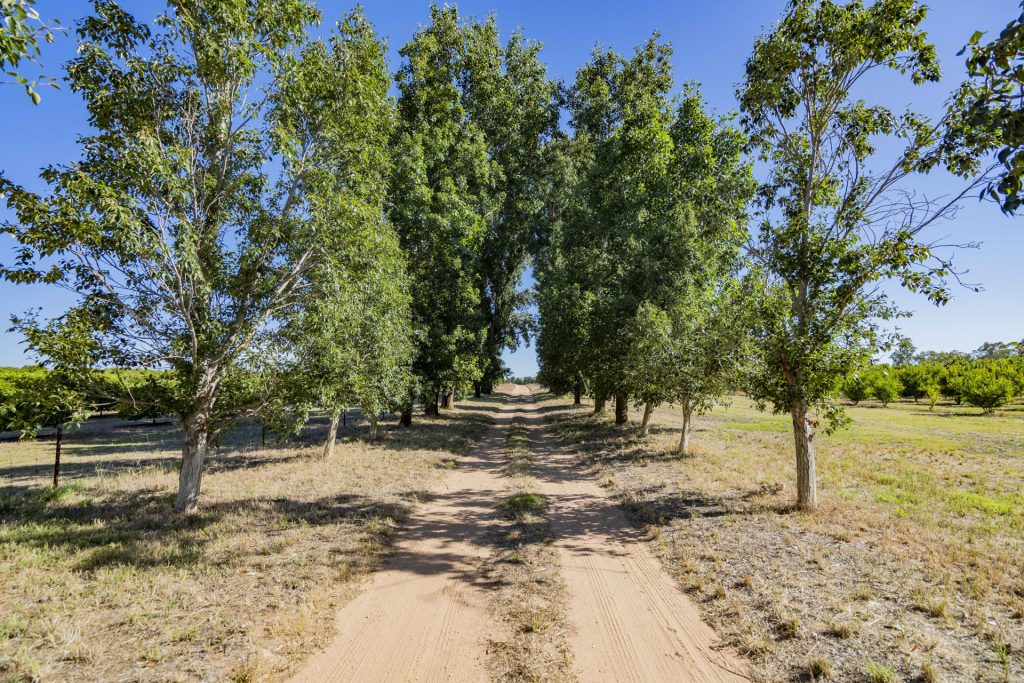 187 Dellapool Road, Narrandera NSW 2700 - photo 2