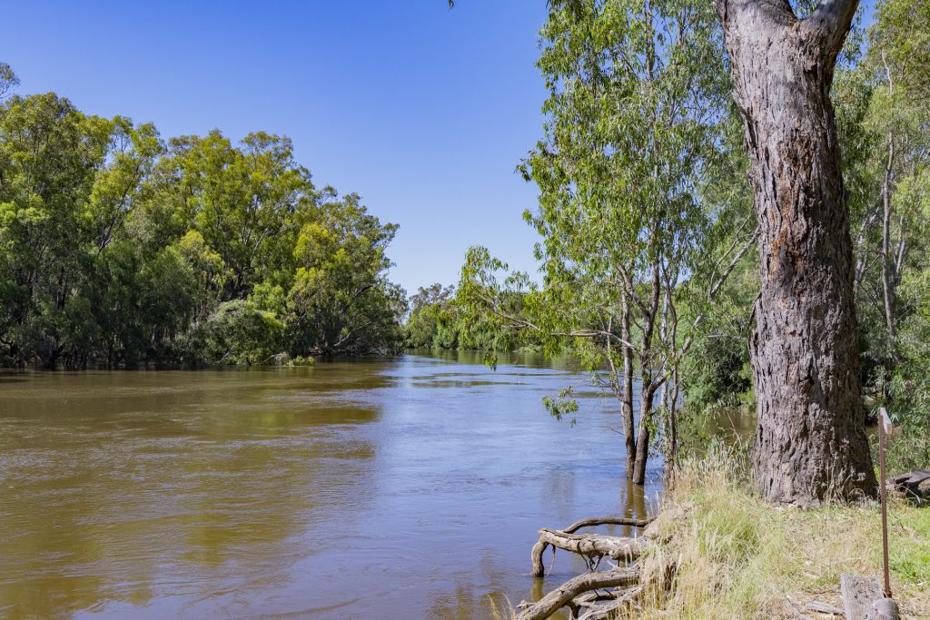 187 Dellapool Road, Narrandera NSW 2700 - photo 22