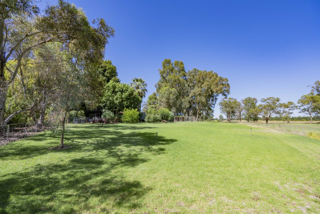 187 Dellapool Road, Narrandera NSW 2700 - photo 26