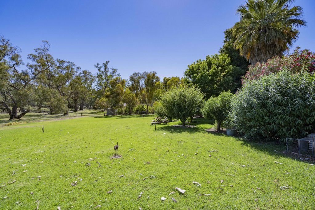 187 Dellapool Road, Narrandera NSW 2700 - photo 27