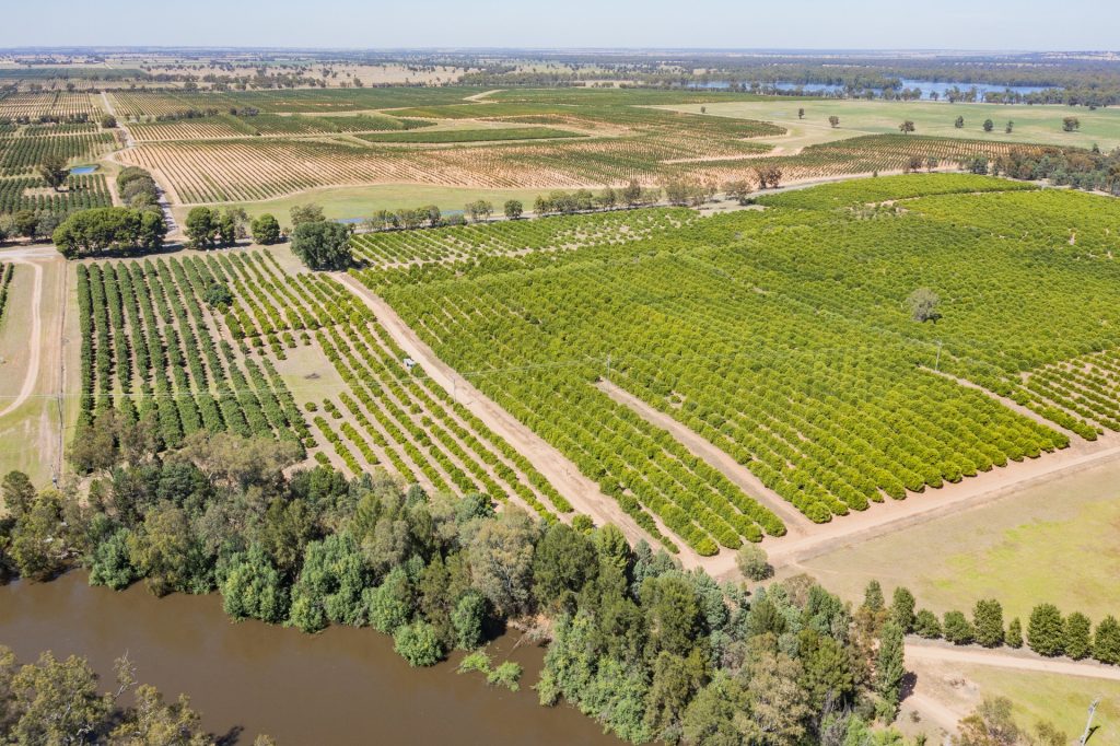 187 Dellapool Road, Narrandera NSW 2700 - photo 29