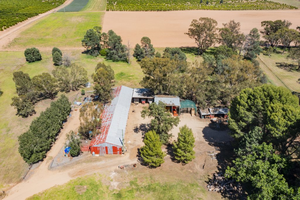 187 Dellapool Road, Narrandera NSW 2700 - photo 30