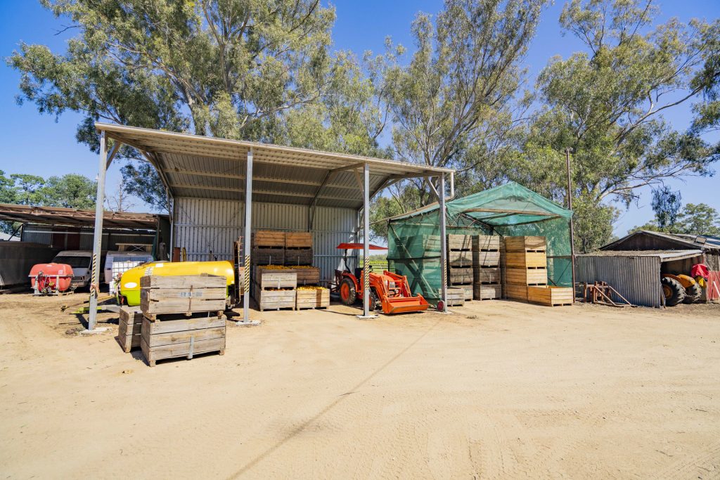 187 Dellapool Road, Narrandera NSW 2700 - photo 32
