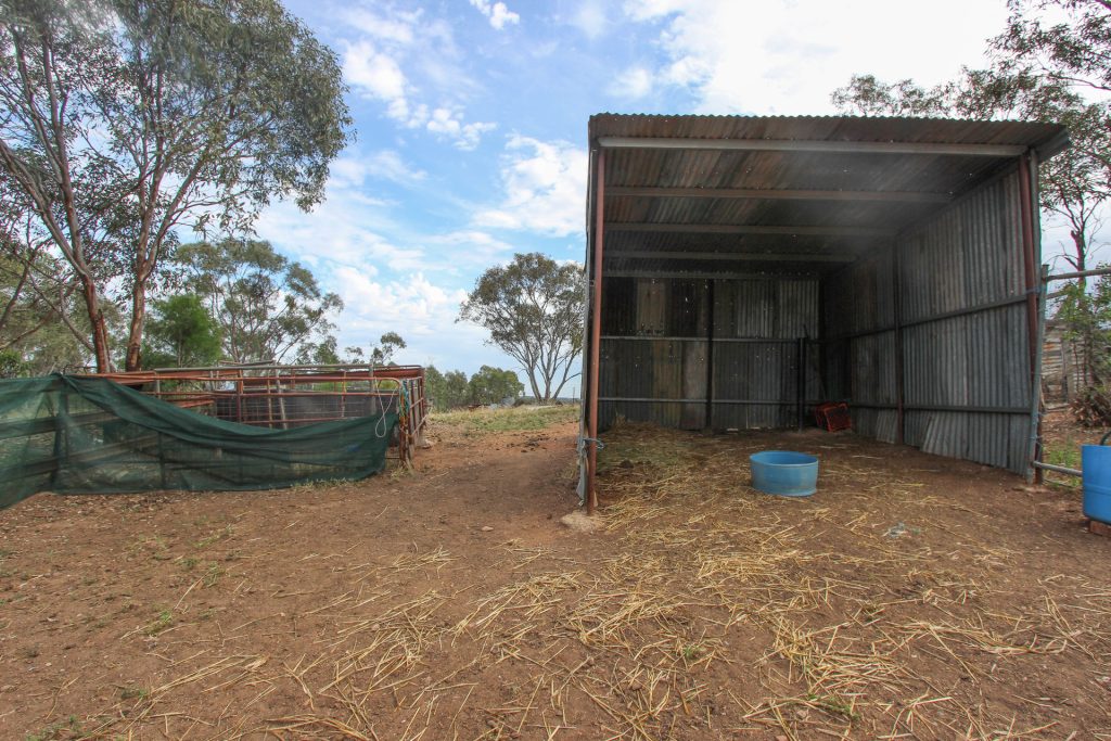 6106 Burley Griffin Way, Temora NSW 2666 - photo 14
