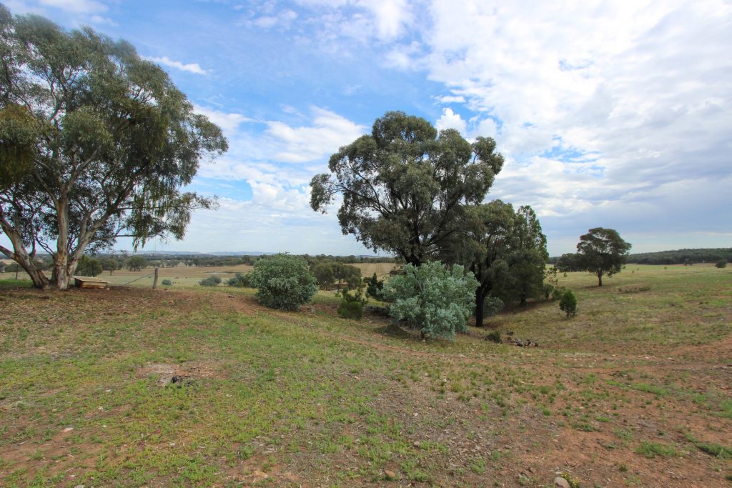 6106 Burley Griffin Way, Temora NSW 2666 - photo 17