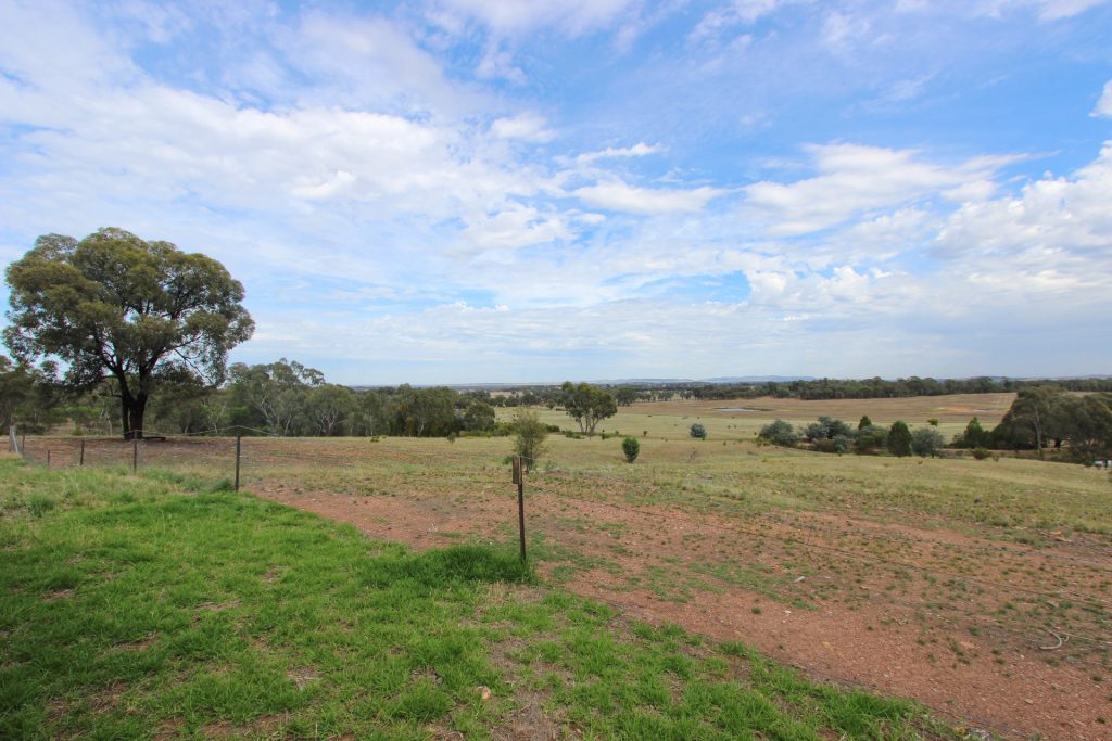 6106 Burley Griffin Way, Temora NSW 2666 - photo 19