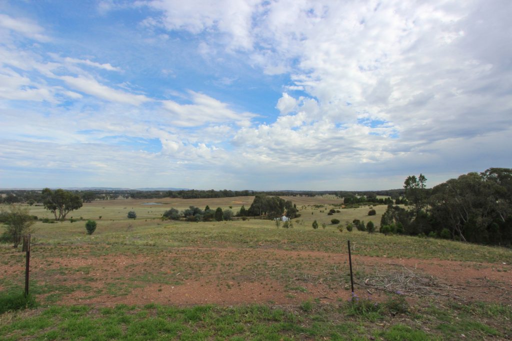 6106 Burley Griffin Way, Temora NSW 2666 - photo 20