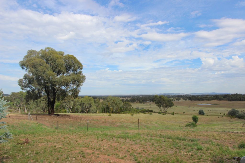 6106 Burley Griffin Way, Temora NSW 2666 - photo 21