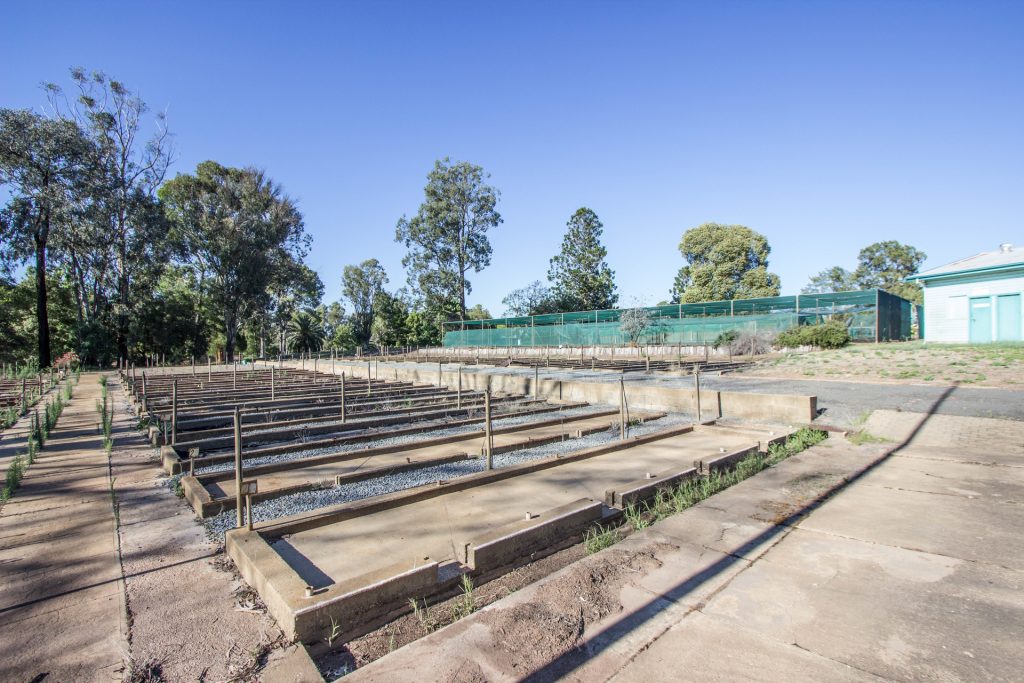 Elizabeth/broad Street, Narrandera NSW 2700 - photo 12