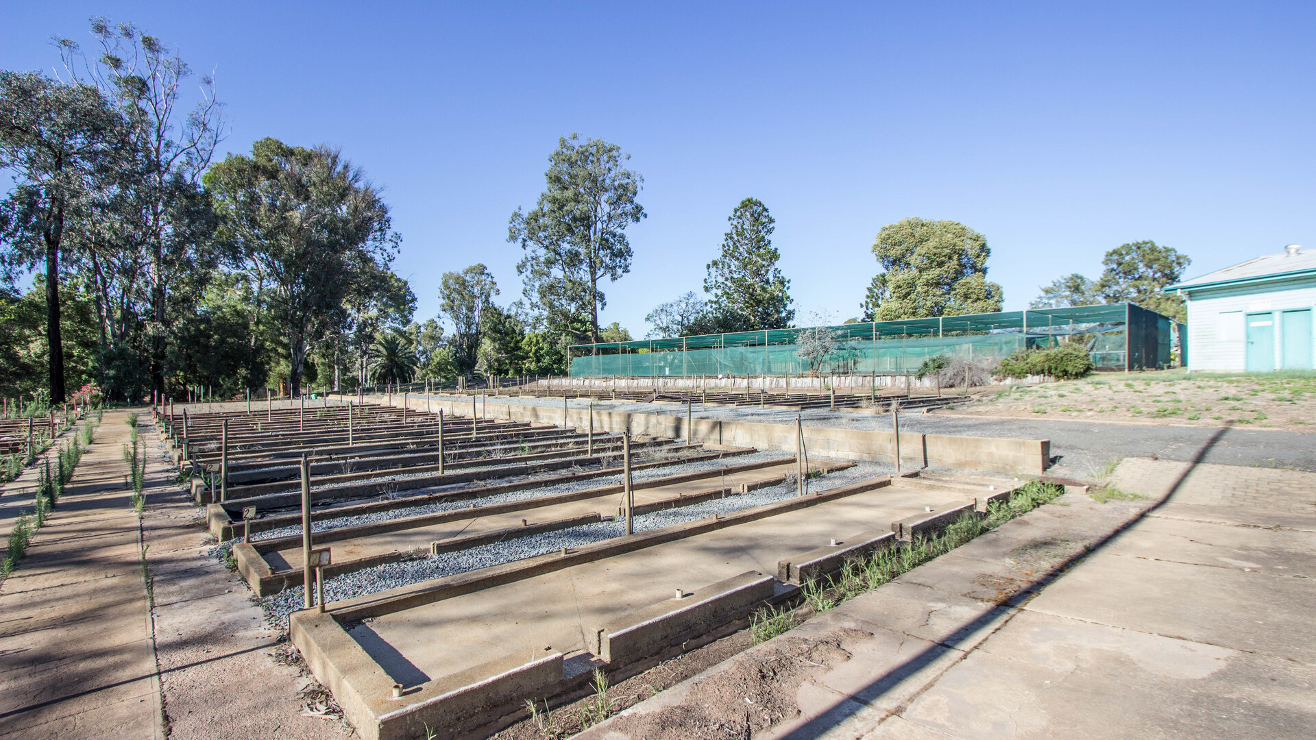 Elizabeth/broad Street, Narrandera NSW 2700 - photo 12