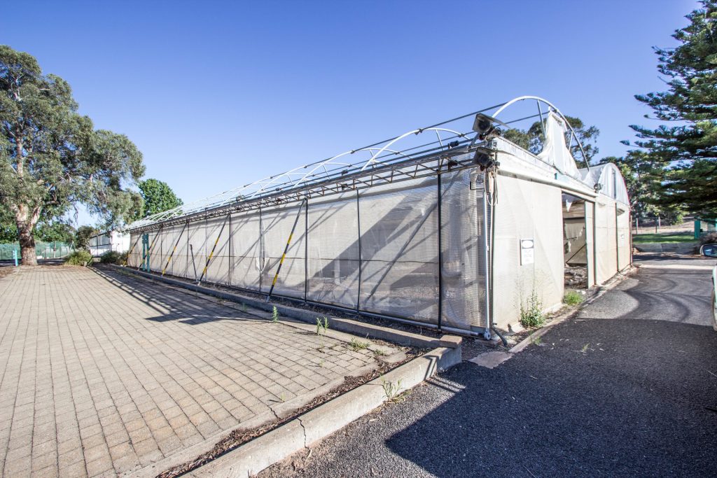 Elizabeth/broad Street, Narrandera NSW 2700 - photo 9