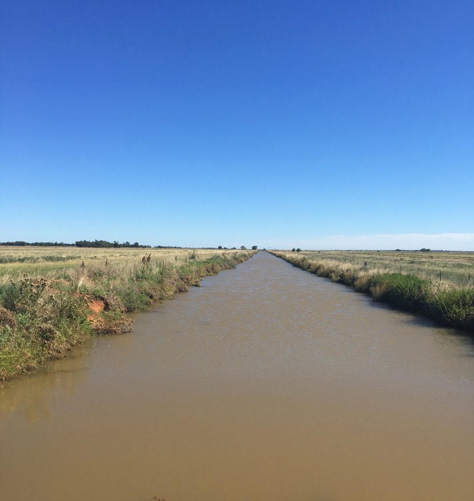68 Leonard Road, Coleambally NSW 2707 - McGrath Riverina