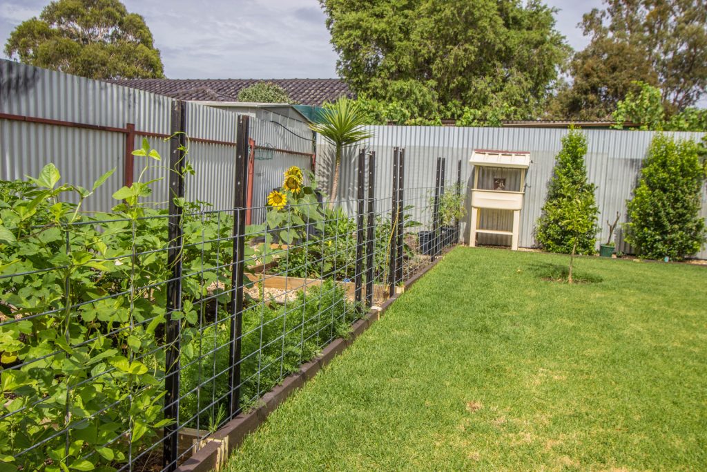 6 Japonica Place, Narrandera NSW 2700 - photo 13