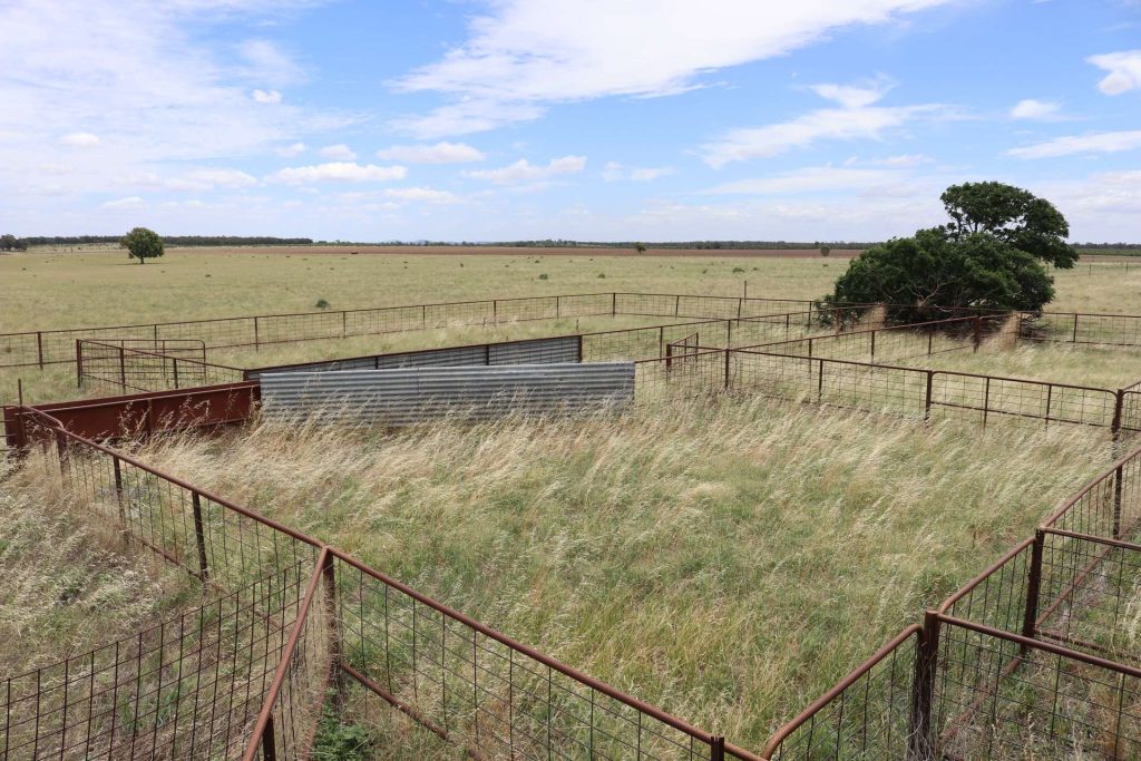 523 Norris Lane, West Wyalong NSW 2671 - photo 13