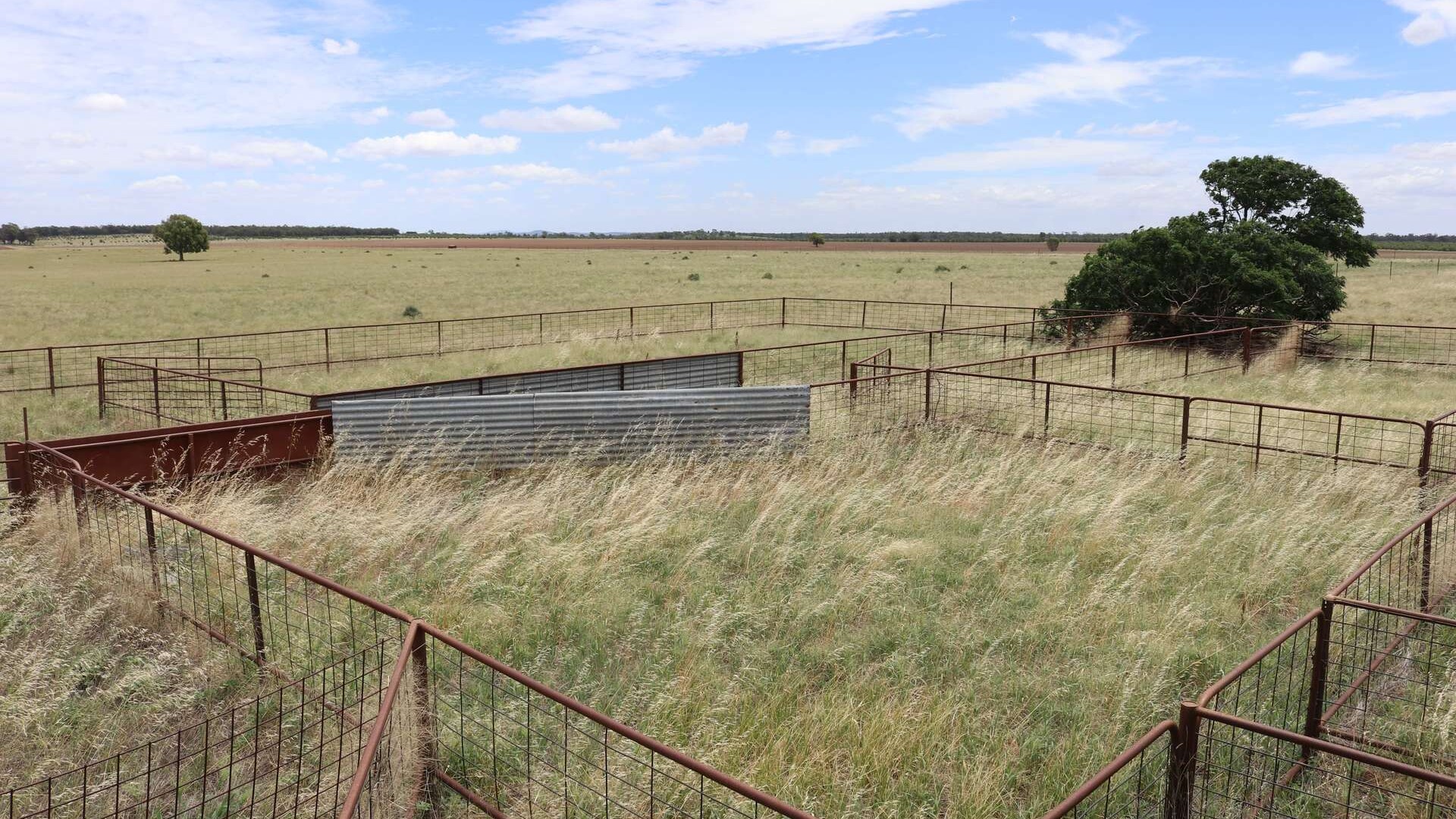 523 Norris Lane, West Wyalong NSW 2671 - photo 13
