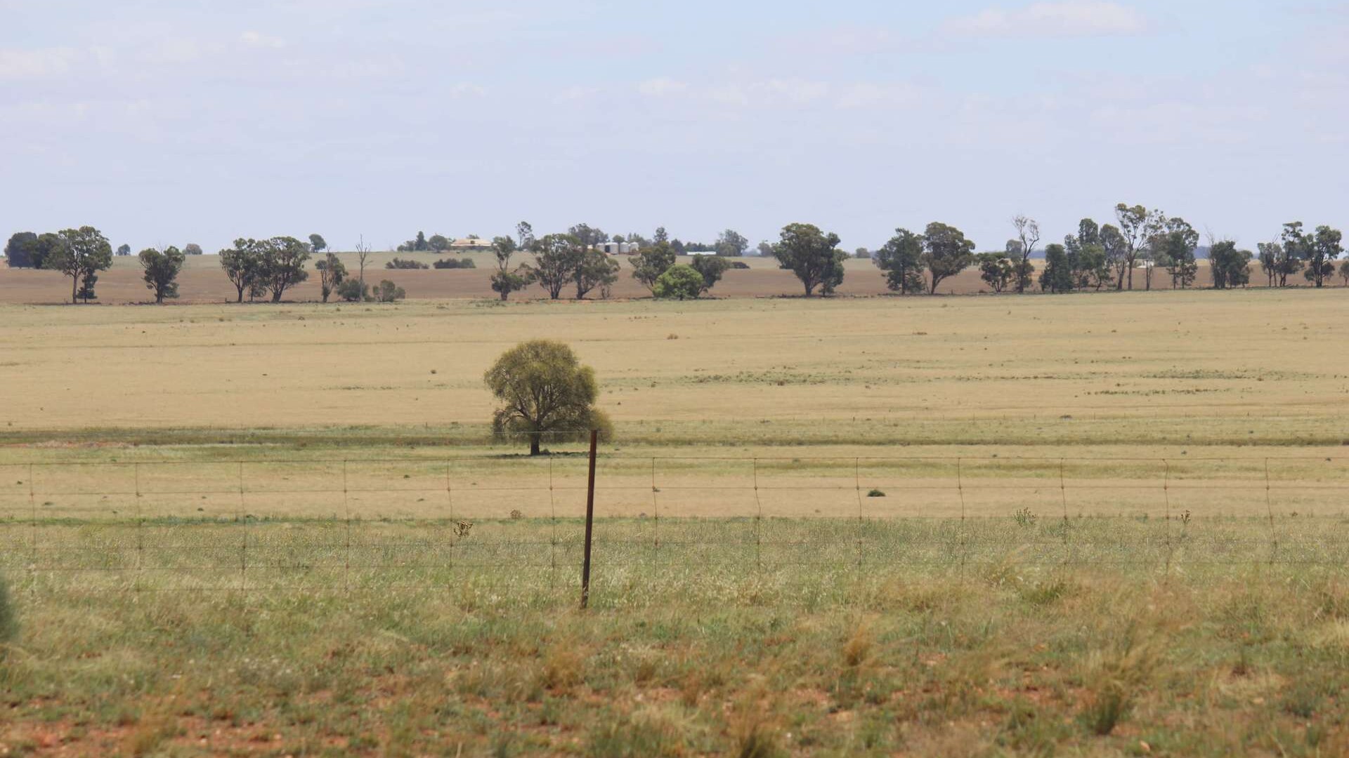 523 Norris Lane, West Wyalong NSW 2671 - photo 14