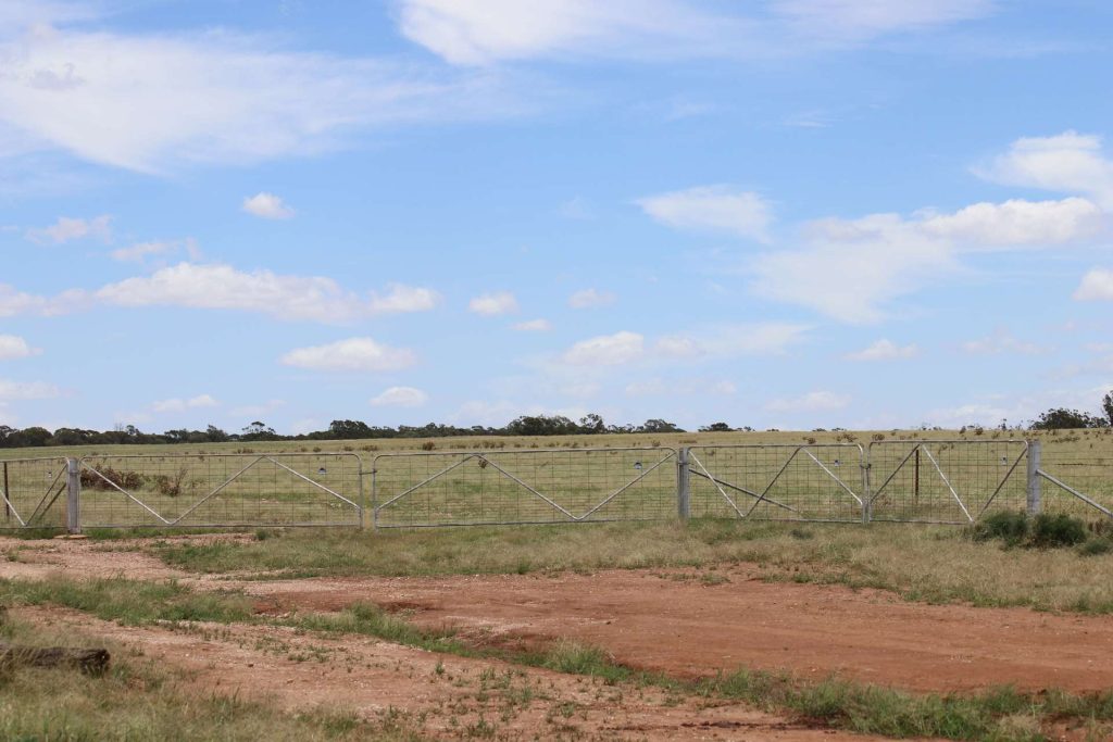 523 Norris Lane, West Wyalong NSW 2671 - photo 16