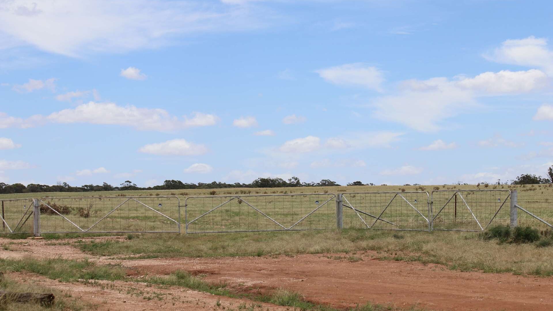 523 Norris Lane, West Wyalong NSW 2671 - photo 16