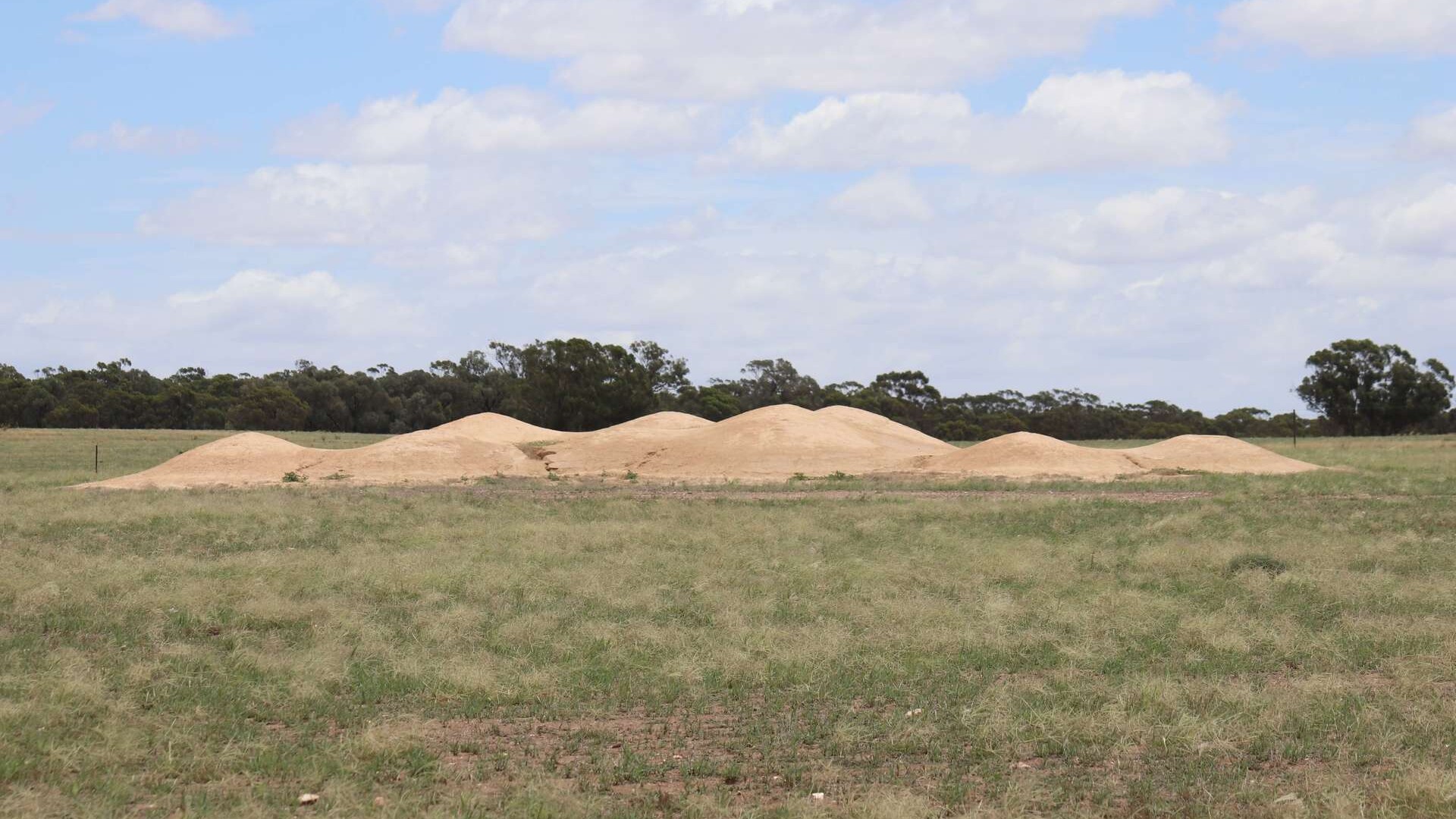 523 Norris Lane, West Wyalong NSW 2671 - photo 20
