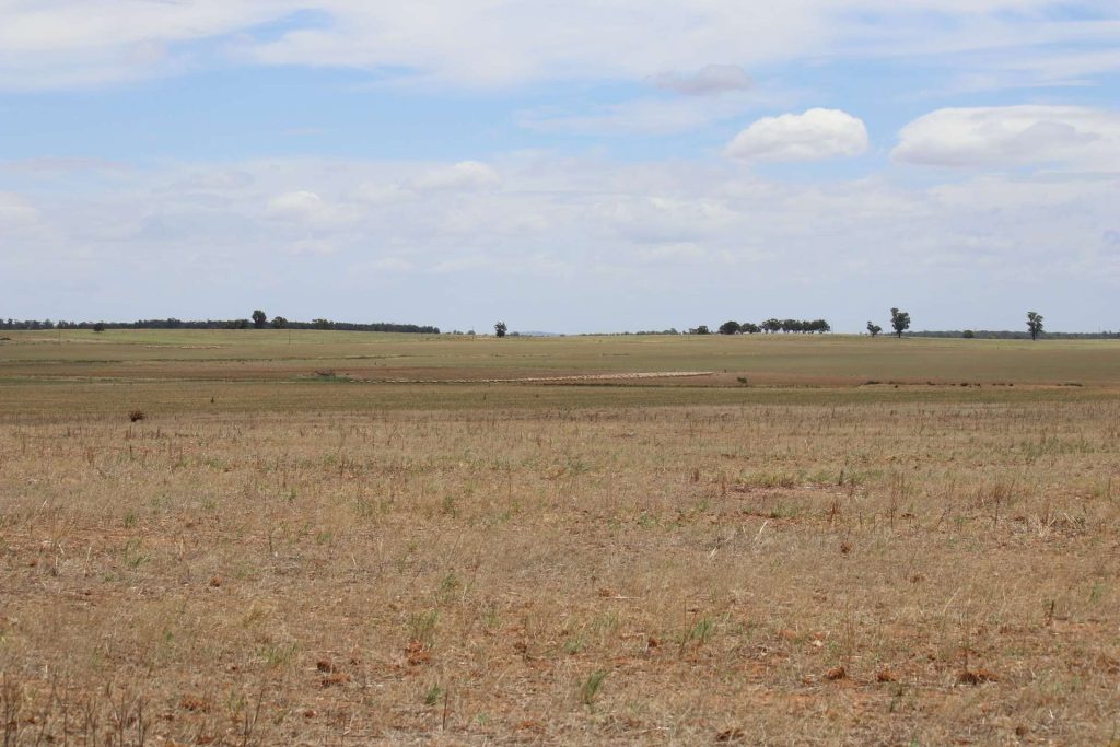 523 Norris Lane, West Wyalong NSW 2671 - photo 8