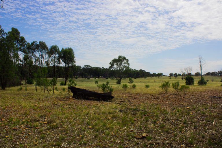 6168 Burley Griffin Way, Temora NSW 2666 - photo 3