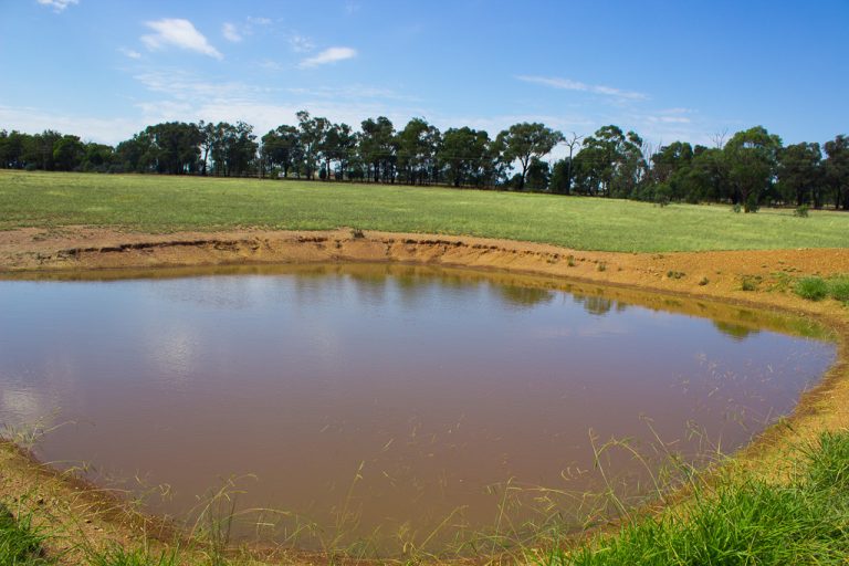 6168 Burley Griffin Way, Temora NSW 2666 - McGrath Riverina