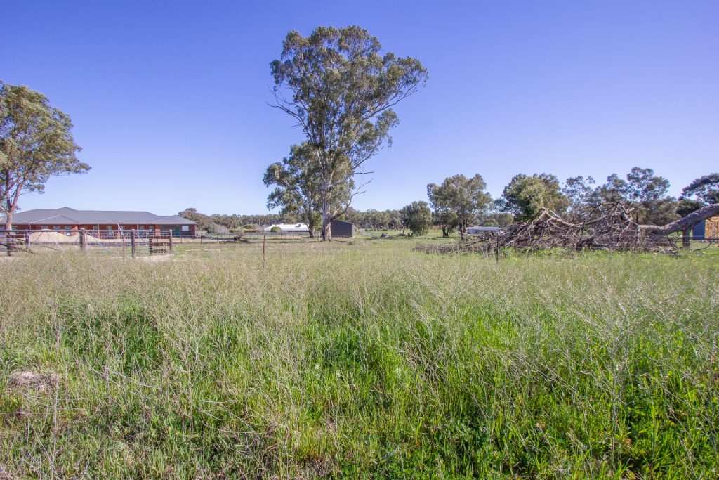 218 Irrigation Way, Narrandera NSW 2700 - photo 3