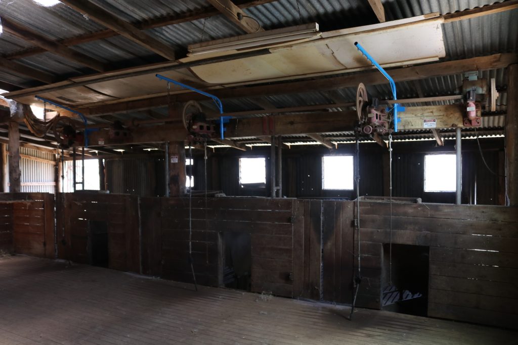 179 Norris Lane, West Wyalong NSW 2671 - photo 15