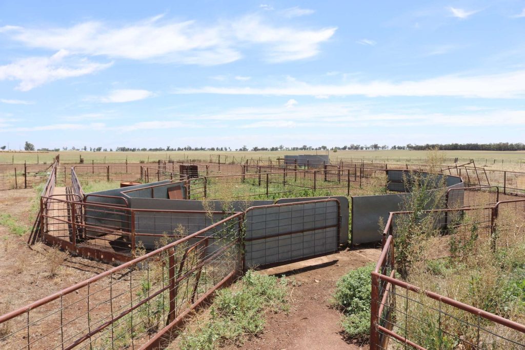 179 Norris Lane, West Wyalong NSW 2671 - photo 16