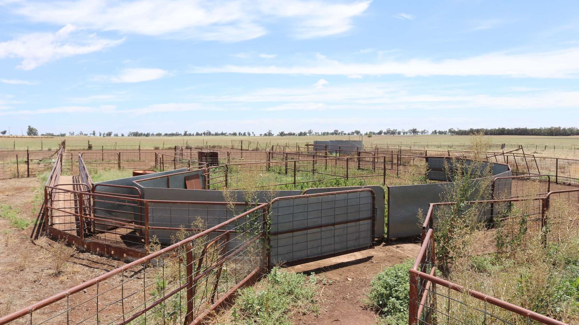 179 Norris Lane, West Wyalong NSW 2671 - photo 16