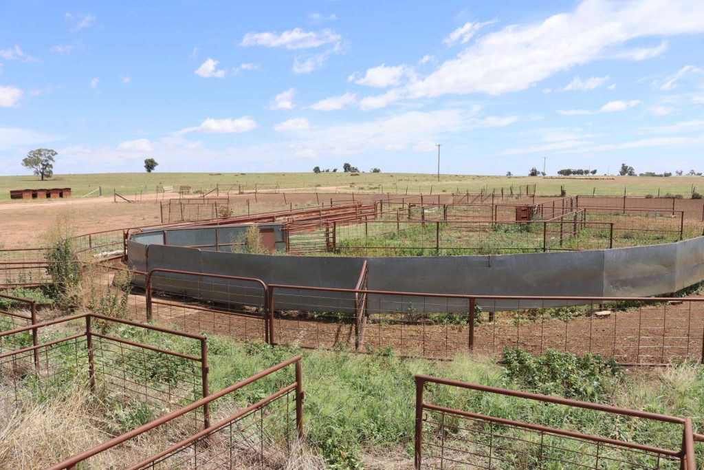 179 Norris Lane, West Wyalong NSW 2671 - photo 17