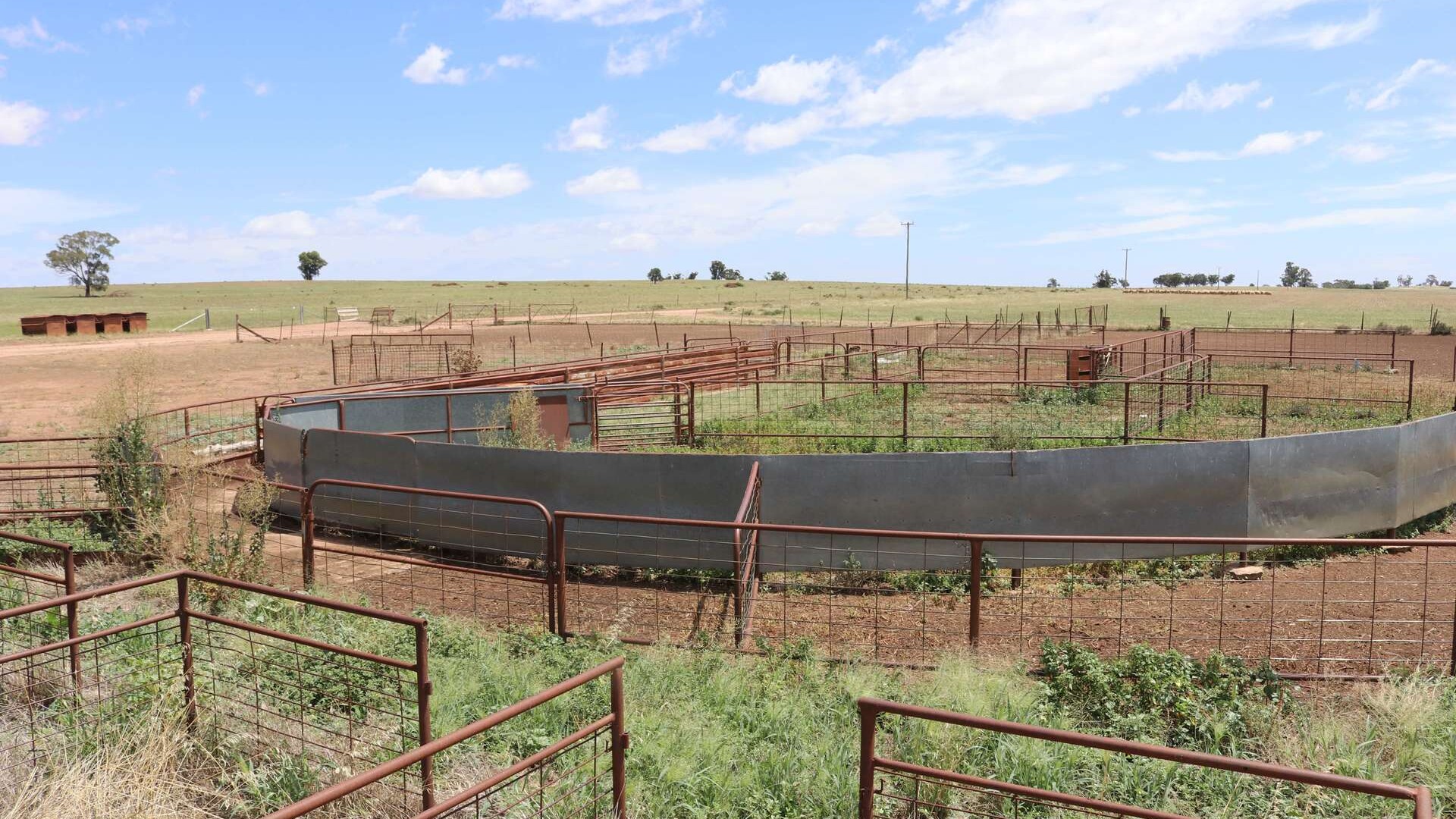 179 Norris Lane, West Wyalong NSW 2671 - photo 17