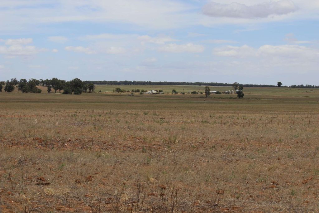179 Norris Lane, West Wyalong NSW 2671 - photo 19