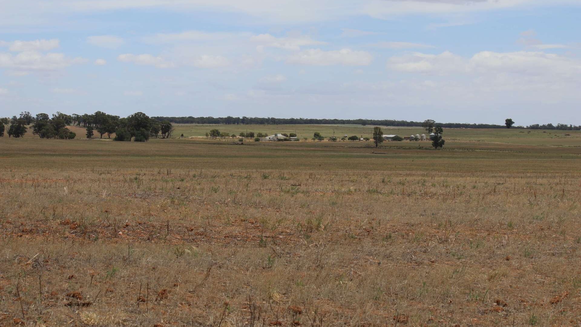 179 Norris Lane, West Wyalong NSW 2671 - photo 19