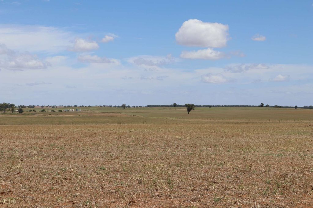 179 Norris Lane, West Wyalong NSW 2671 - photo 10