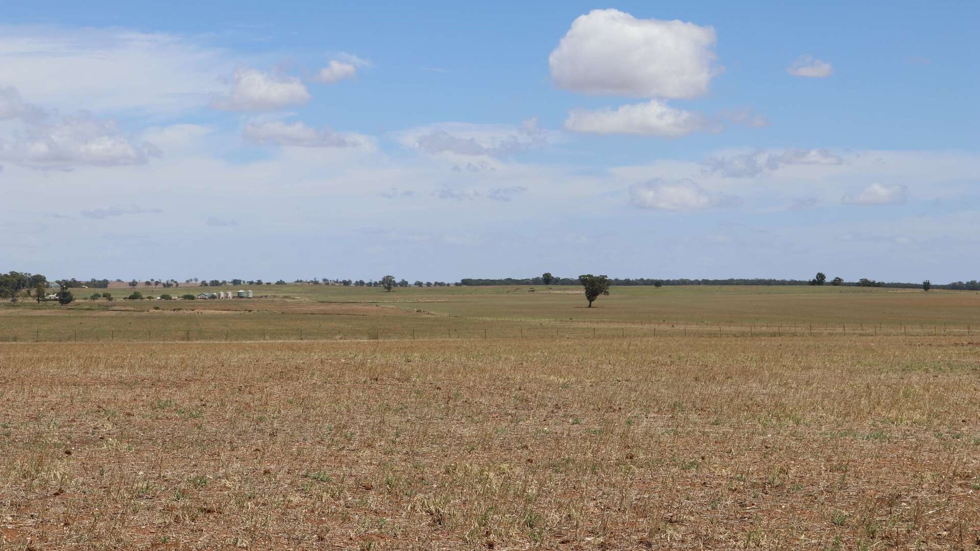 179 Norris Lane, West Wyalong NSW 2671 - photo 10