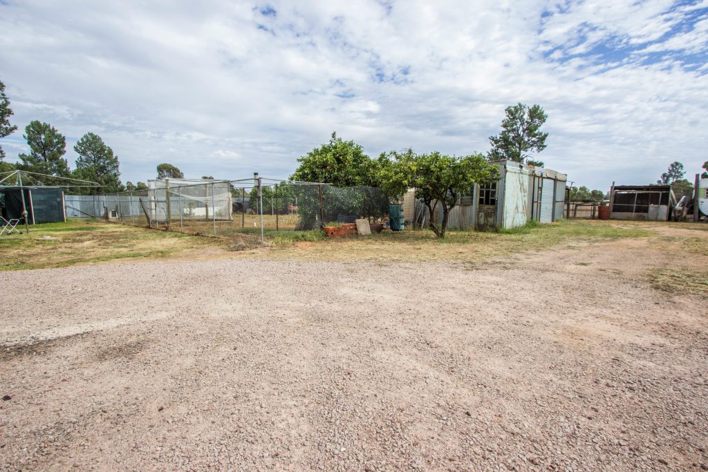 179 Pine Hill Road, Narrandera NSW 2700 - photo 11