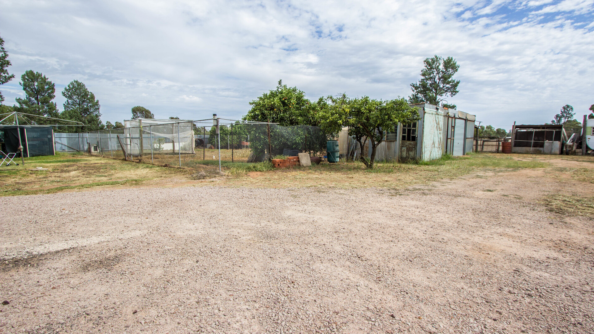 179 Pine Hill Road, Narrandera NSW 2700 - photo 11